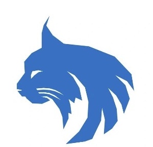 Lynx Construction icon